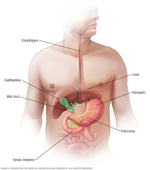 pancreatic cancer