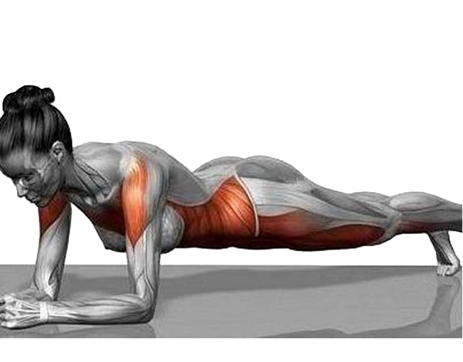 plank workout 