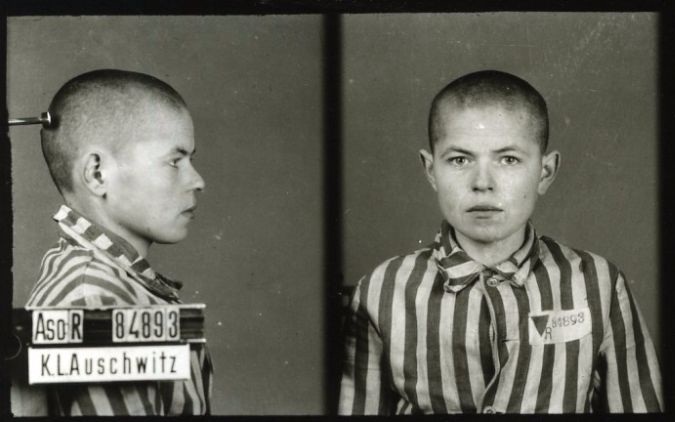 Profile photos documented by Nazis at Auschwitz