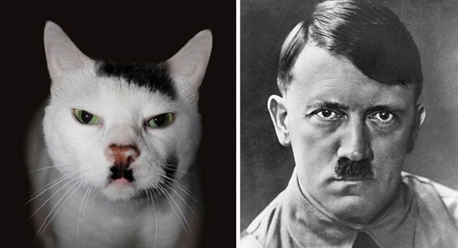 Adolf Hitler and this cat