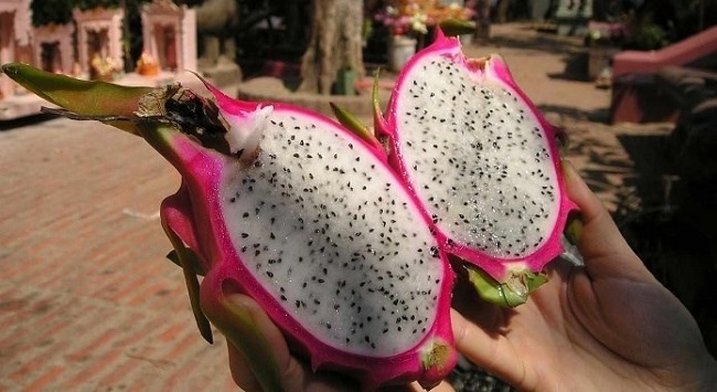 Dragon fruit Fights diabetes