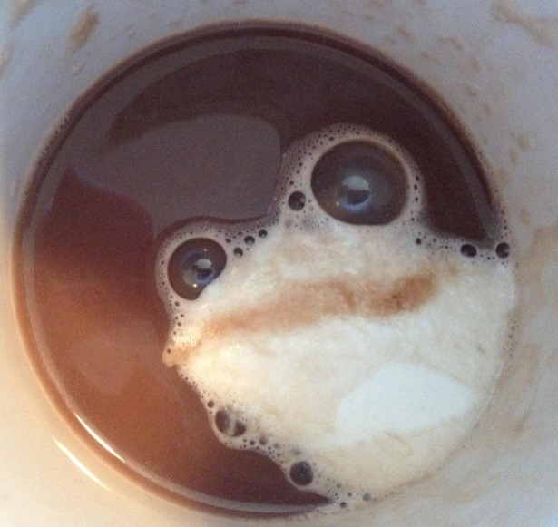 Froggy Coffee