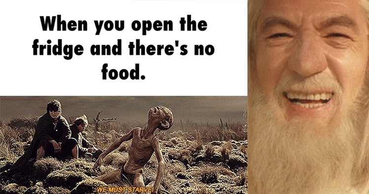 Gandalf and the fridge