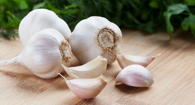 Garlic health benefits 