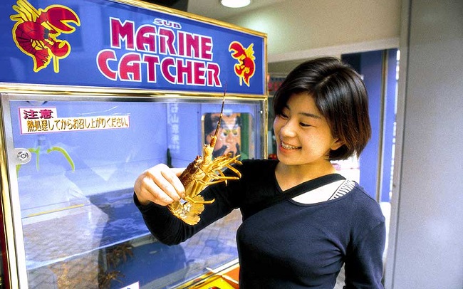 Live lobsters in japanese vending machine 