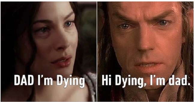 More Arwen memes