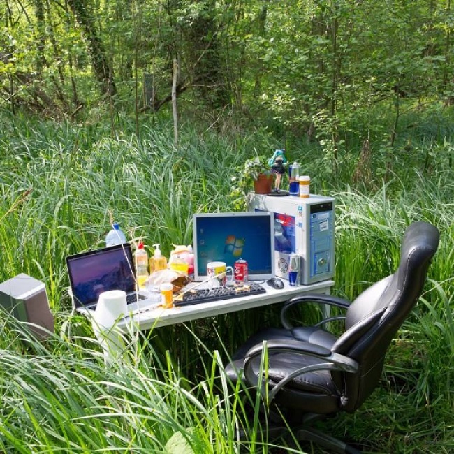 Natural setting to work