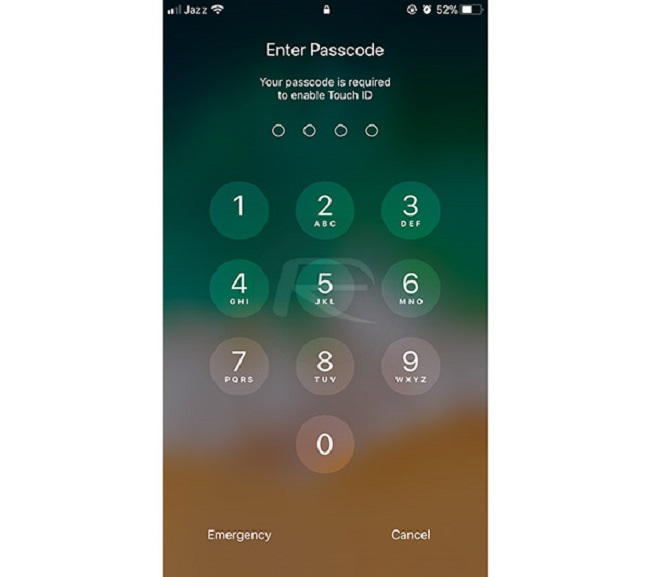 Passcodes or Touch ID