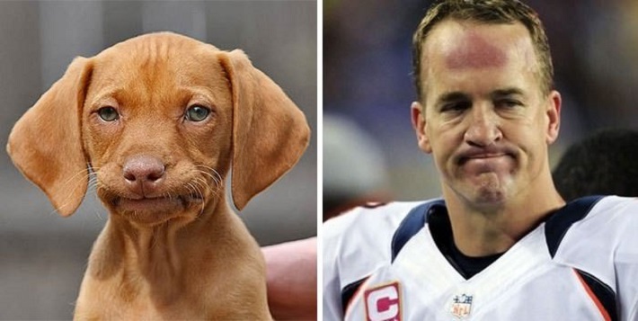 Peyton Manning and the sad dog