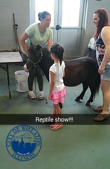 Reptile horse