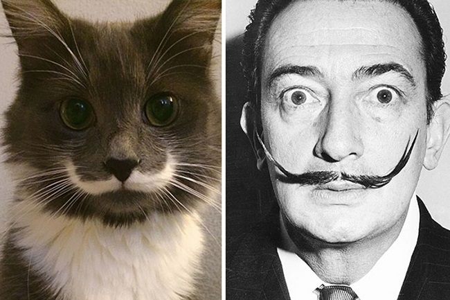 Salvador Dali and Hamilton the cat