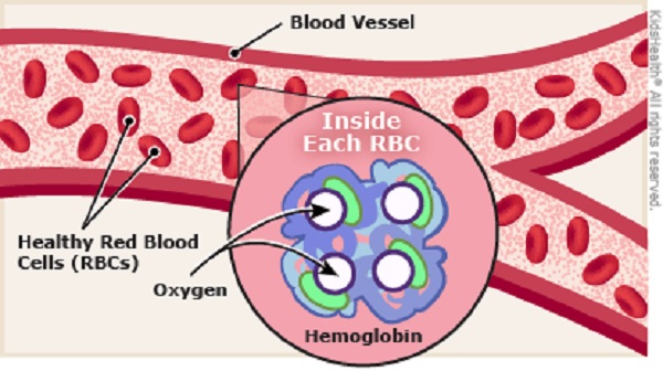 Secondary signs of iron deficiency