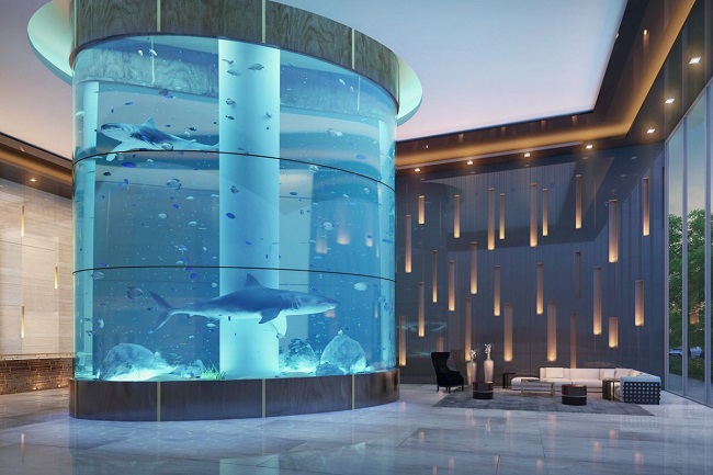 shark aquarium