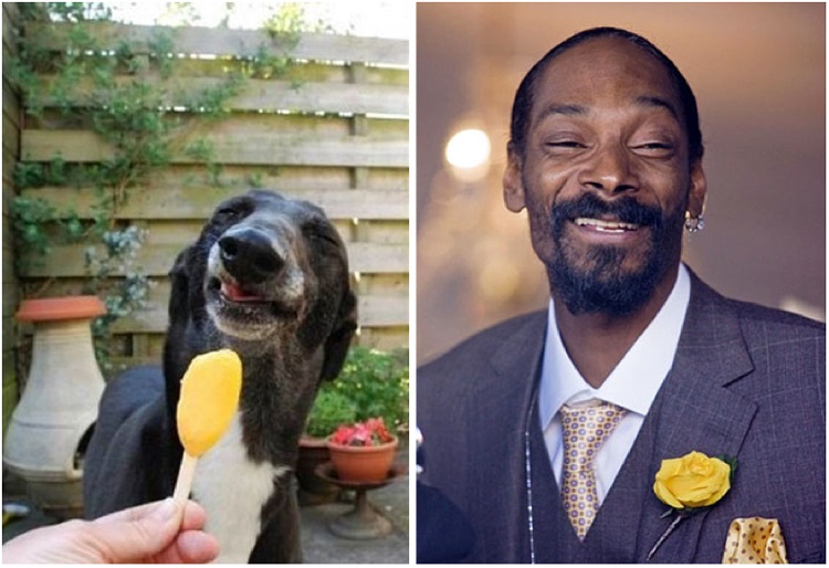 Snoop Dogg and the smiling dog