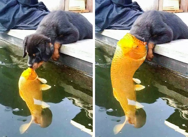 The kiss that didn’t work right