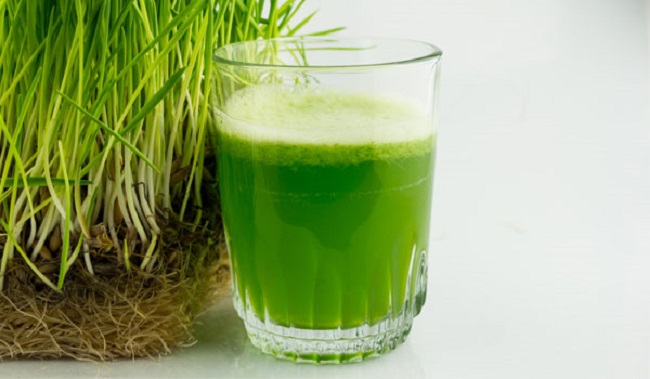 Wheatgrass