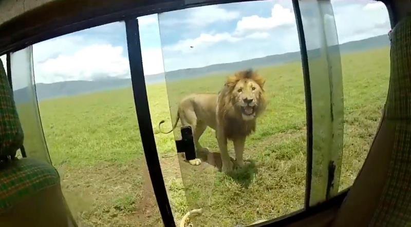 A very hot day in the Serengeti