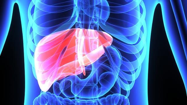 Clean toxins from liver