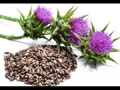 Consider Milk thistle