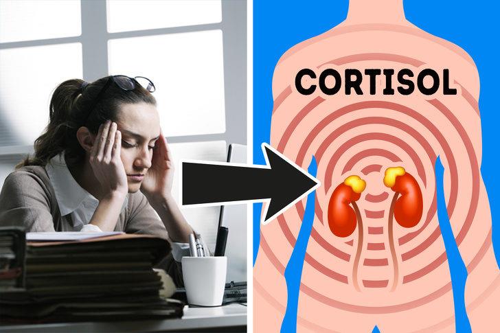 Cortisol