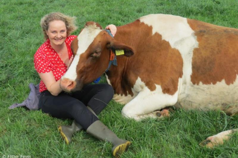 Cuddling with four-legged friend, cow