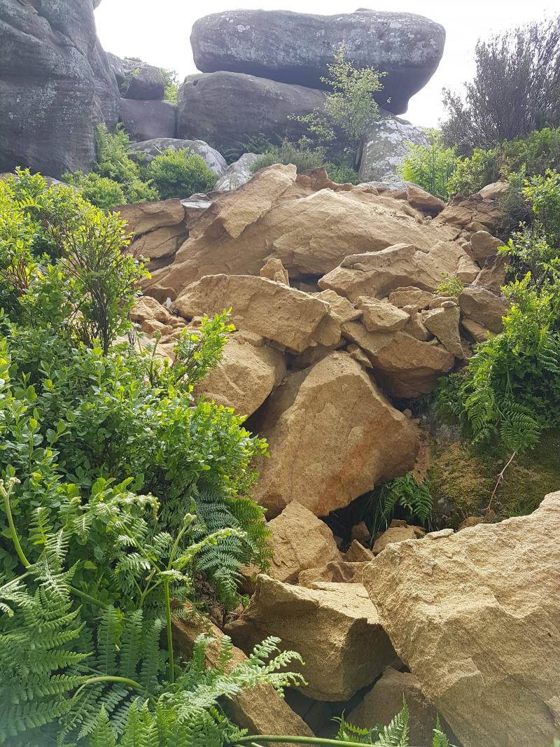 Destruction of Brimham Rocks by a group of teens