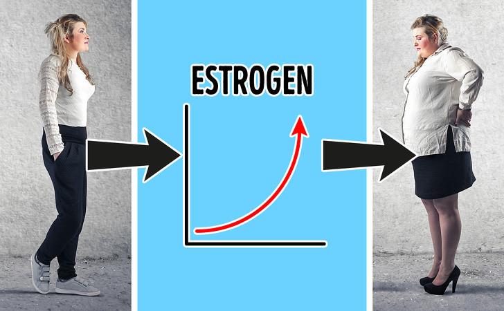 Estrogen