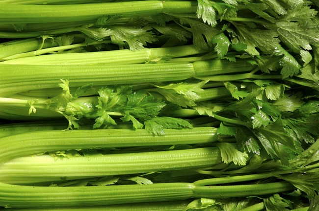 Fresh celery