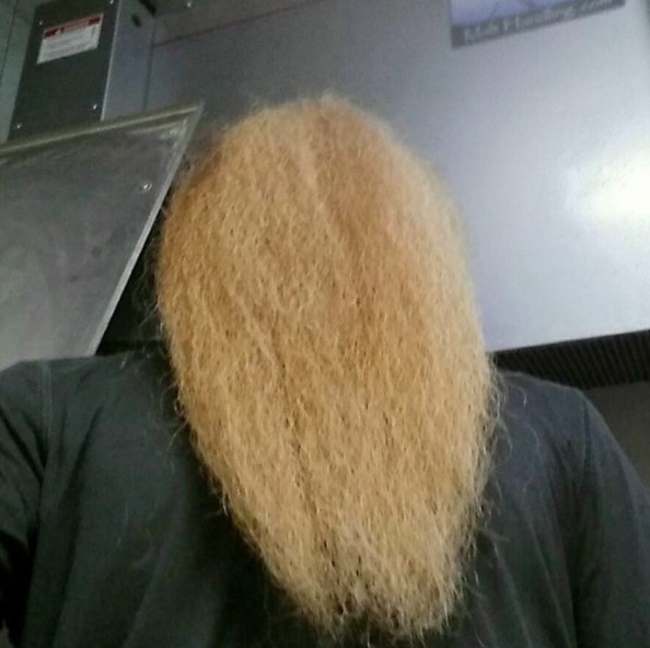 Long magnificent beard