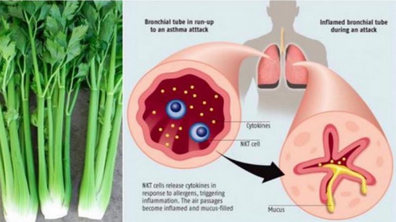 Lowers your uric acid