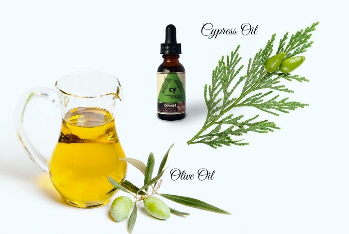 Olive oil and cypress oil