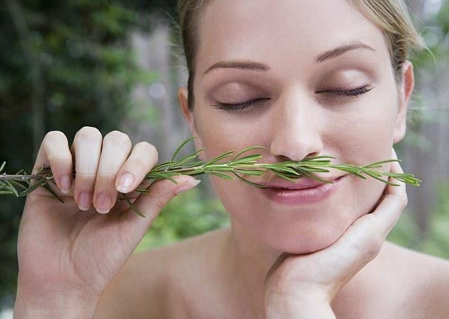 Rosemary activates your super memory