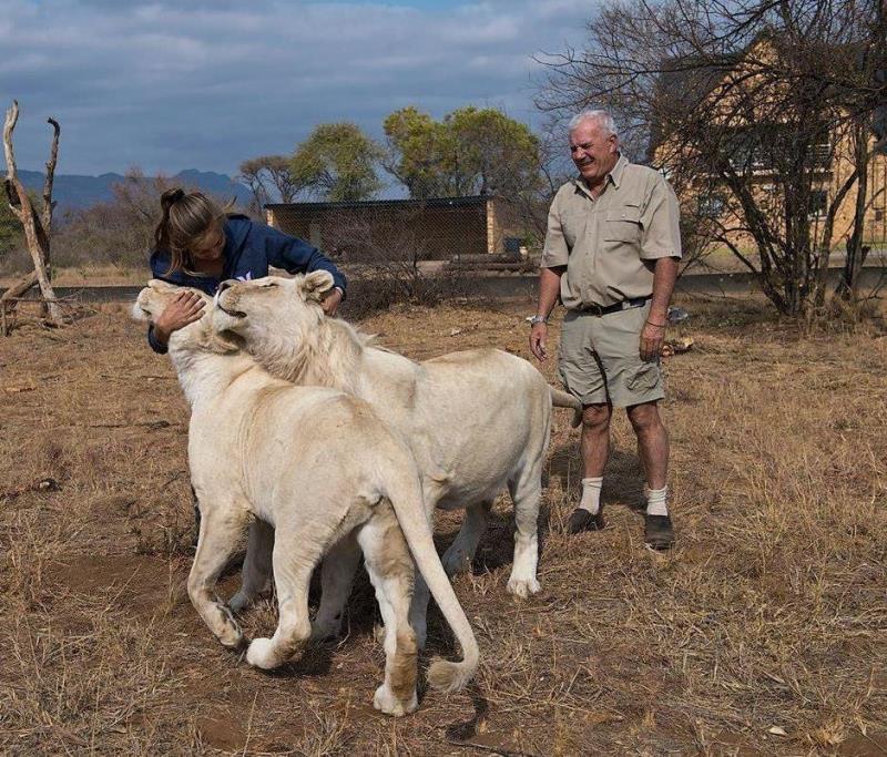 Safari park owner mauled by lions