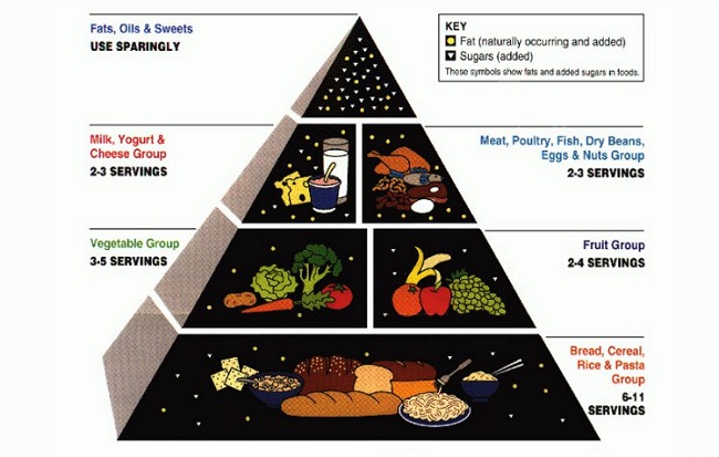 The food pyramid