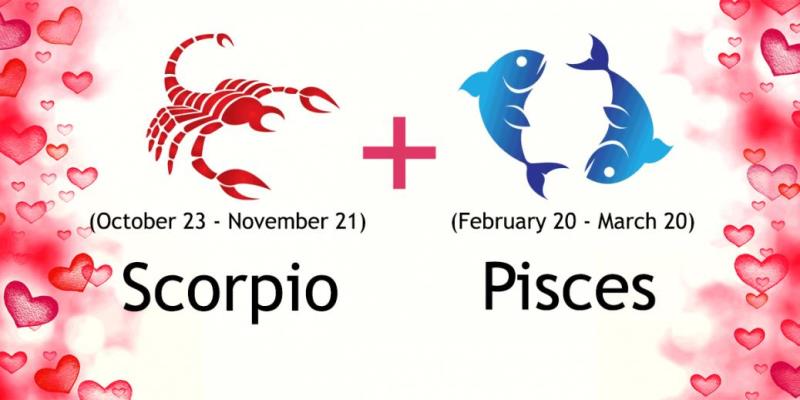 The Pisces and Scorpio connection