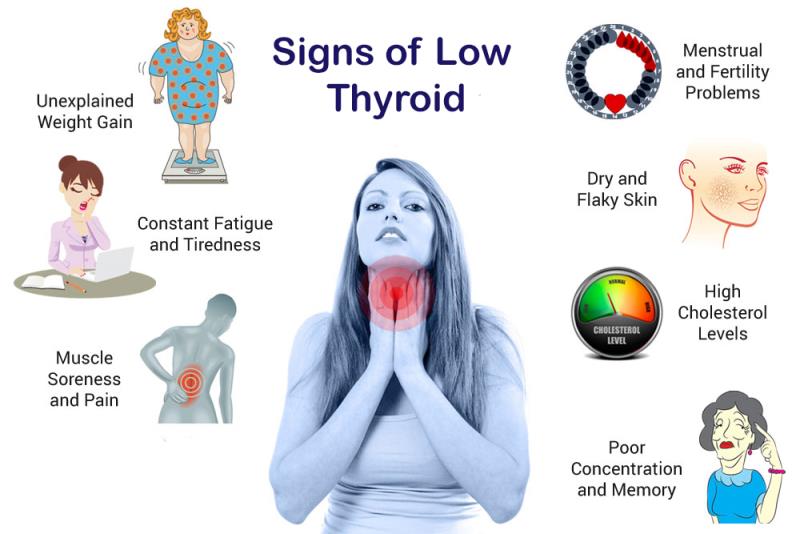 Thyroid hormones