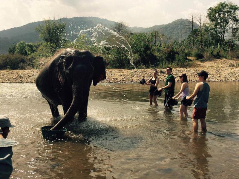 Water in the shape of an elephant’s face