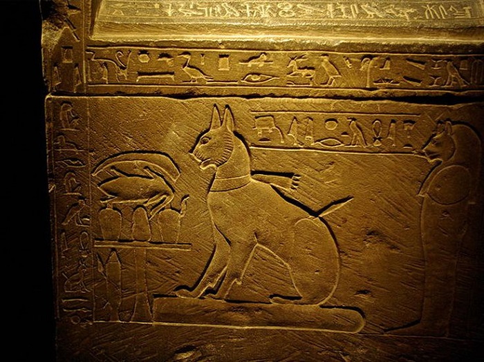 More facts about cats from the time of ancient Egyptians More facts about cats from the time of ancient Egyptians