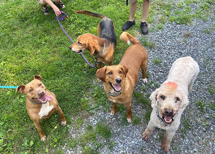 The two households have since become good friends, and everyone is eager to see what the future holds for these two families The two households have since become good friends, and everyone is eager to see what the future holds for these two families