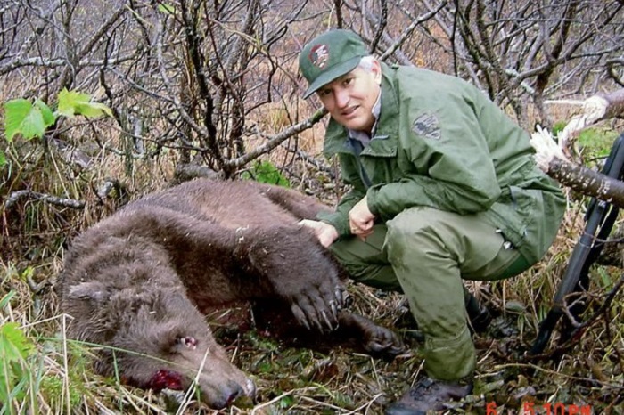 The bear was eventually shot