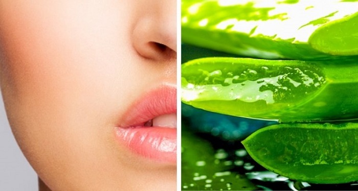 To slow down skin aging: use aloe vera gel 