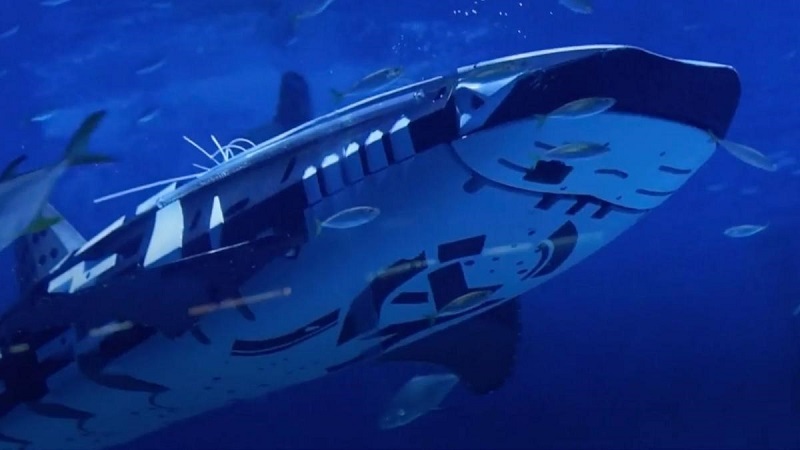 The Robotic Whale Shark Engineering and Design